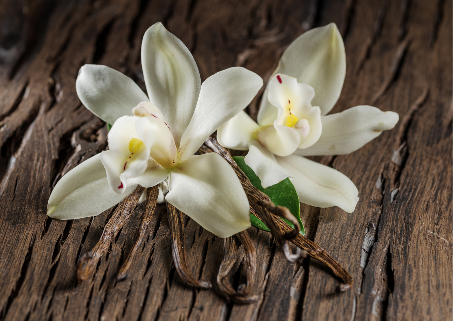 Bougie Parfumée Monoï Vanillé