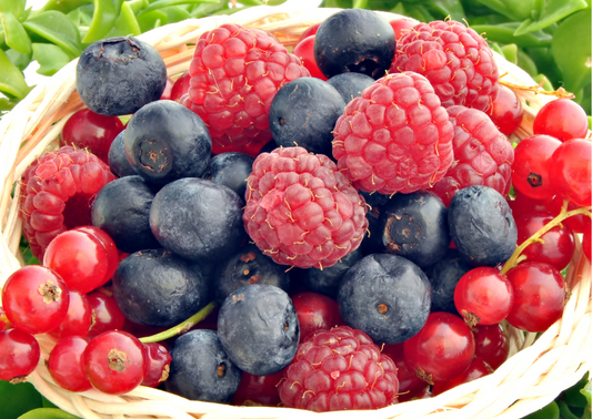 Fondants Parfumés Rouge de Fruits